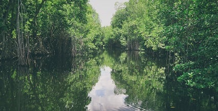 black river